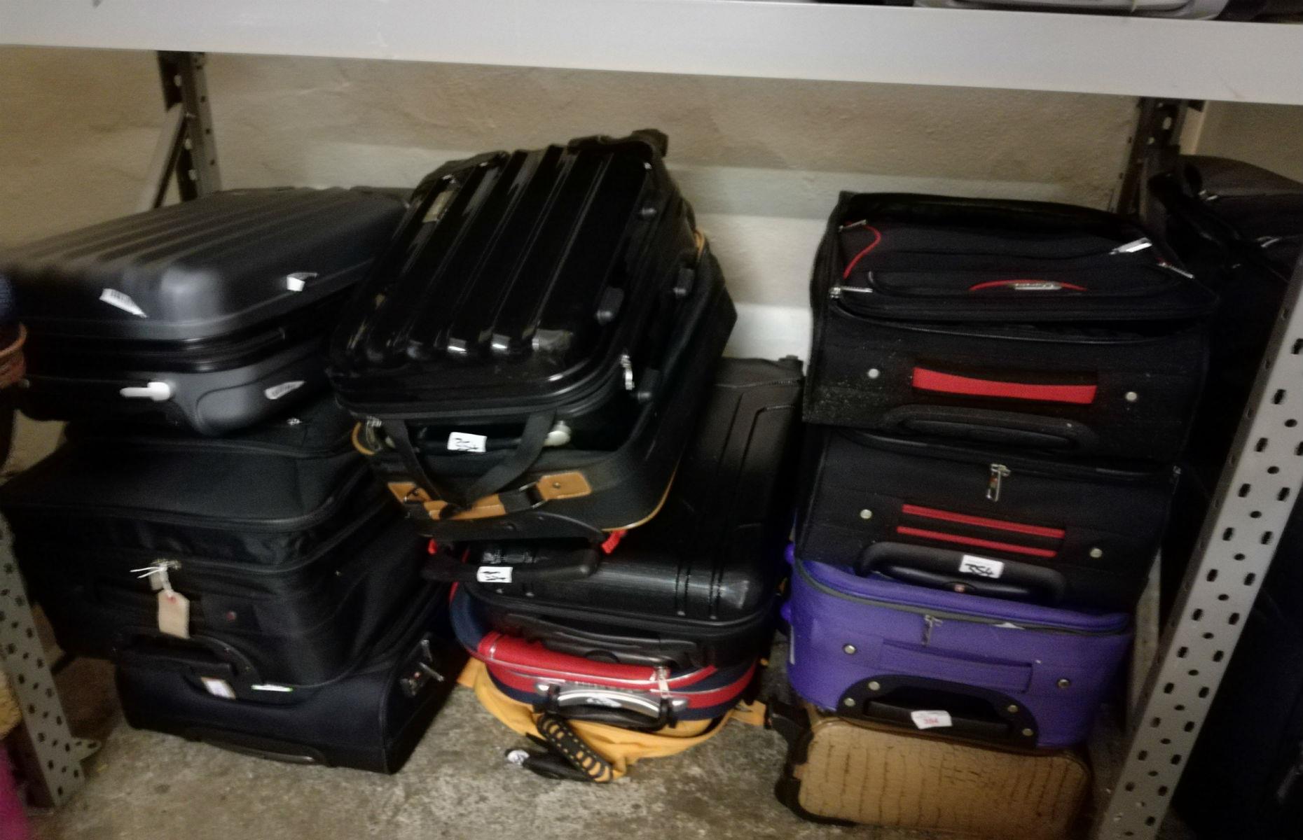 Luggage purple